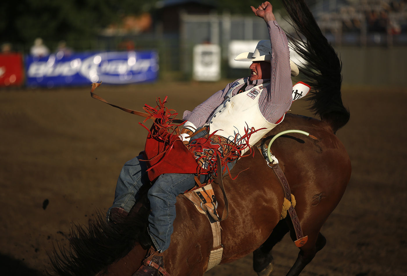 Rodeo